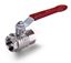 Brass Nickel Plated Ball Valve